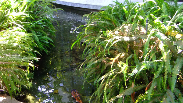 La Brea Tar Pits and Museum