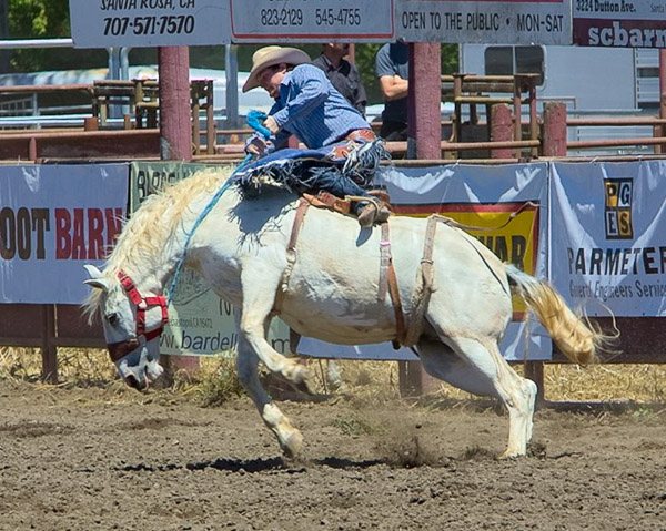 Duncan Mills Rodeo