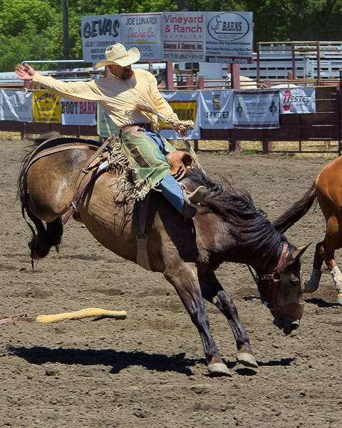 Duncan Mills Rodeo