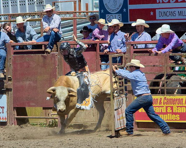 Duncan Mills Rodeo
