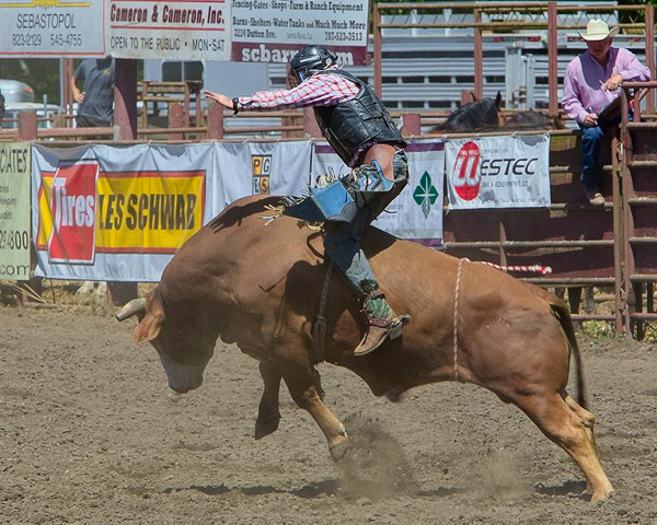 Duncan Mills Rodeo