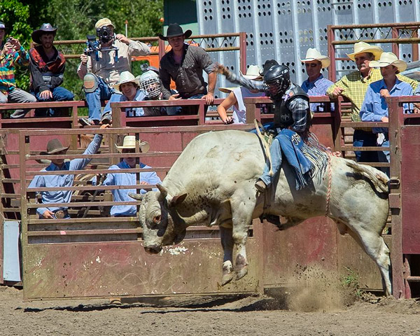Duncan Mills Rodeo