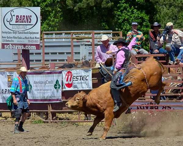Duncan Mills Rodeo