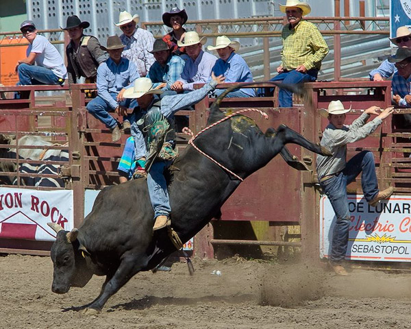 Duncan Mills Rodeo