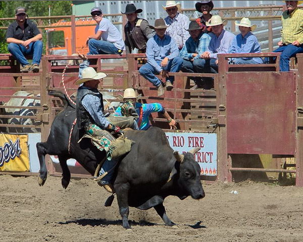 Duncan Mills Rodeo