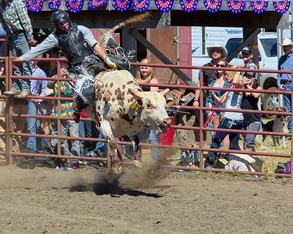 Duncan Mills Rodeo