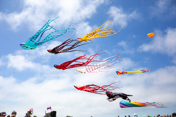 Kite Festival