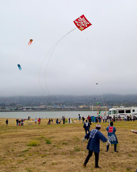 Kite Festival