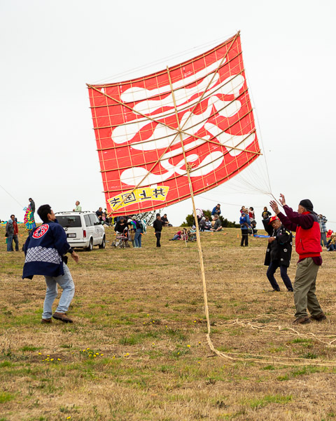 Kite Festival
