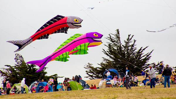 Kite Festival