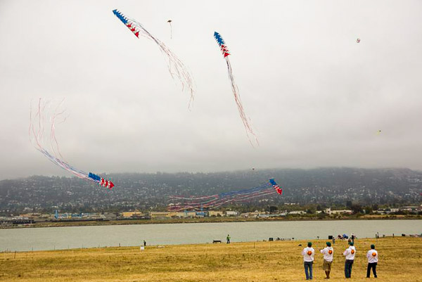 Kite Festival, team stunt kites