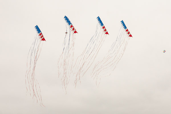 Kite Festival, team stunt kites