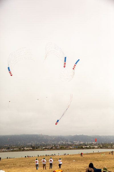 Kite Festival, team stunt kites