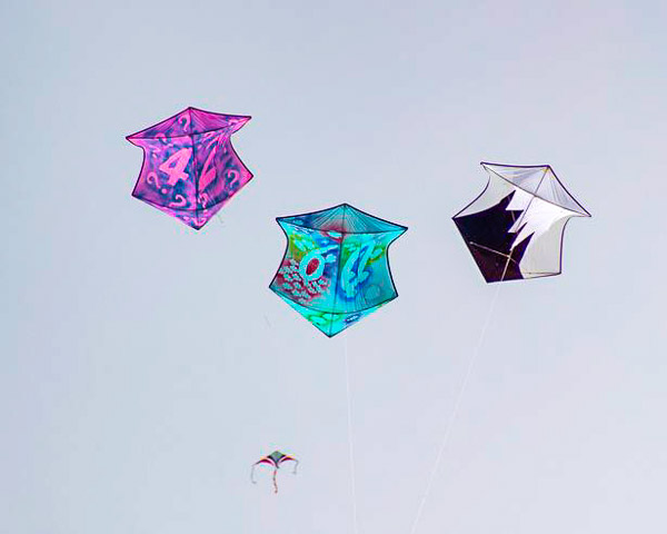 Kite Festival