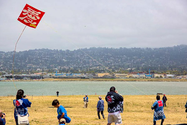 Kite Festival