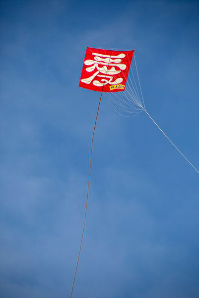Kite Festival