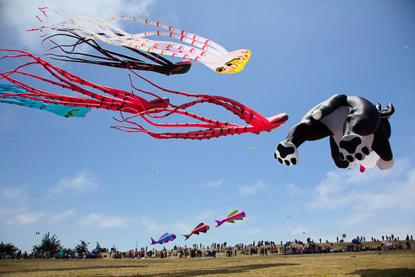 Kite Festival