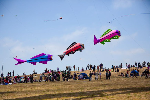 Kite Festival
