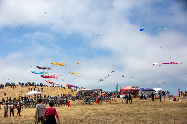 Kite Festival