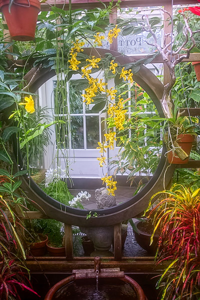 Golden Gate Park, Conservatory of Flowers