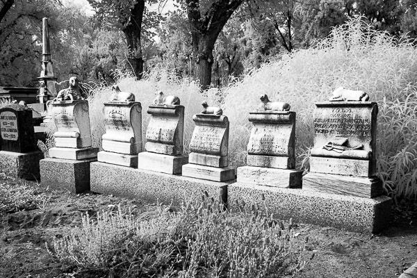 Sacramento Historic City Cemetery