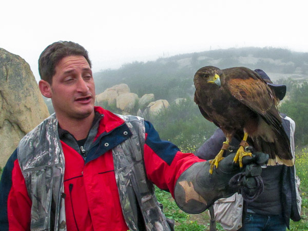In Alpine taking a basic falconry session with Sky Falconry