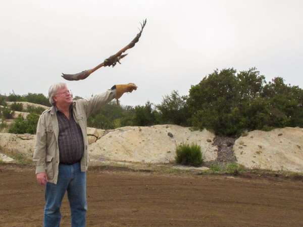 In Alpine taking a basic falconry session with Sky Falconry