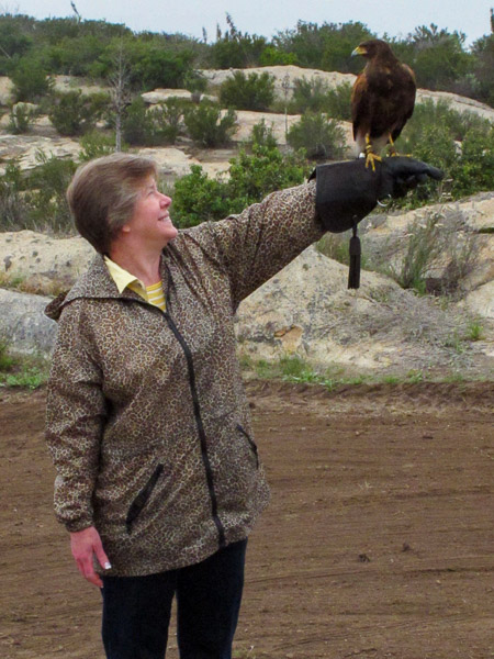 In Alpine taking a basic falconry session with Sky Falconry