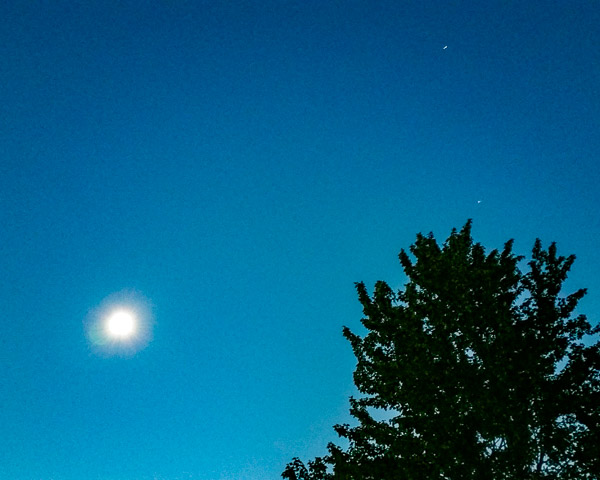I should have been shooting on manual at this point during totality to show how dark it was. Instead, look above the tree and you will see venus at the top and a star just aboe the tree to show it was dark.