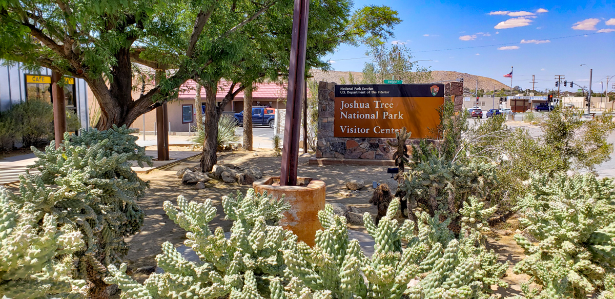 Joshua Tree National Park, California - June 4, 2019