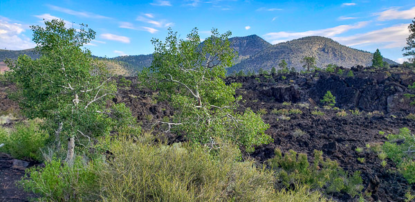 Sunset Crater Volcano National Monument