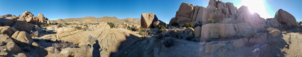Joshua Treee National Park, CA