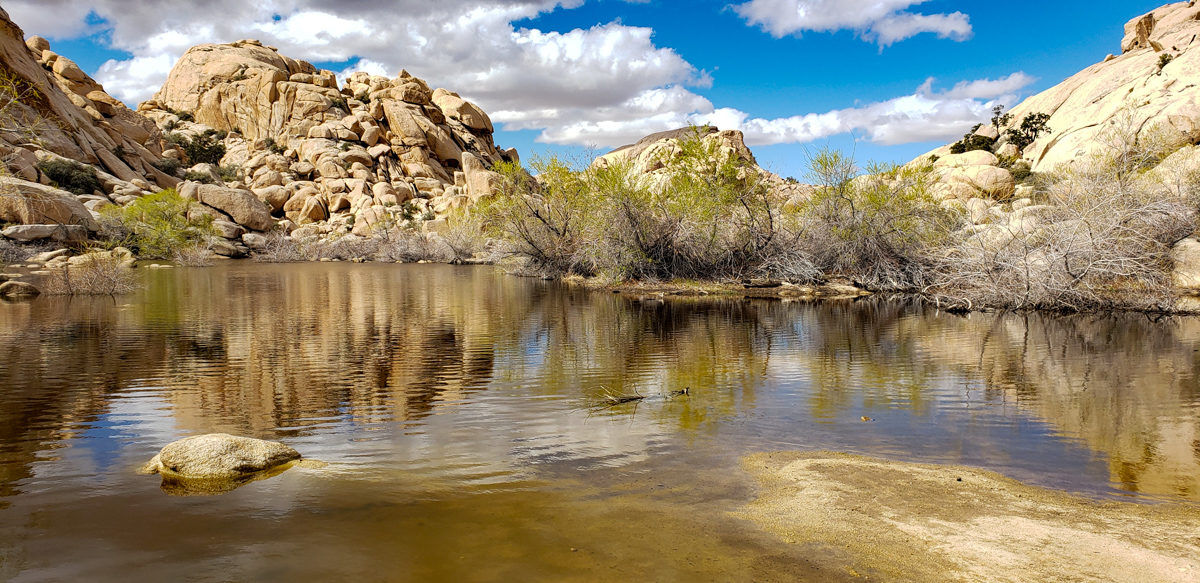 Joshua Tree National Park - Infrared Photo Workshop - March 16, 2020