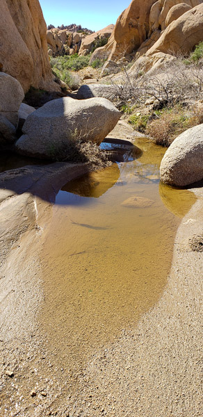 I visited after a rainy week and did find some water still around
