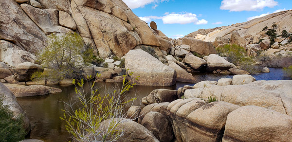 Baker Dam area