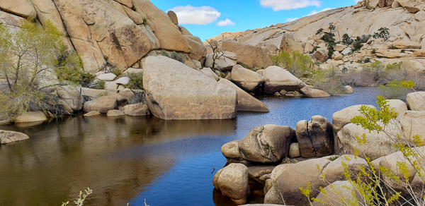 Baker Dam area
