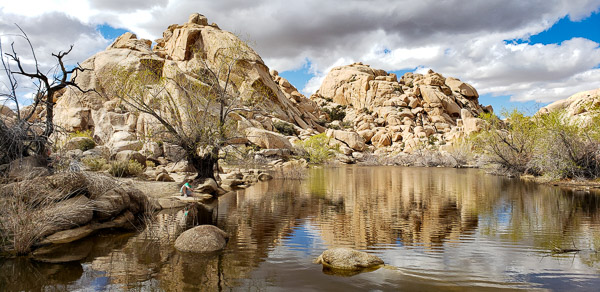 Baker Dam area