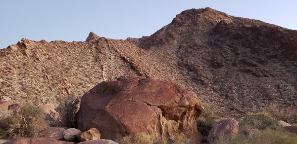 Palm Canyon