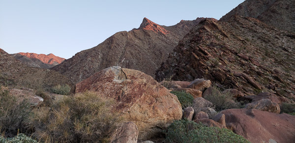 Palm Canyon