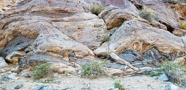 Palm Canyon