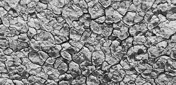 Clark Dry Lake