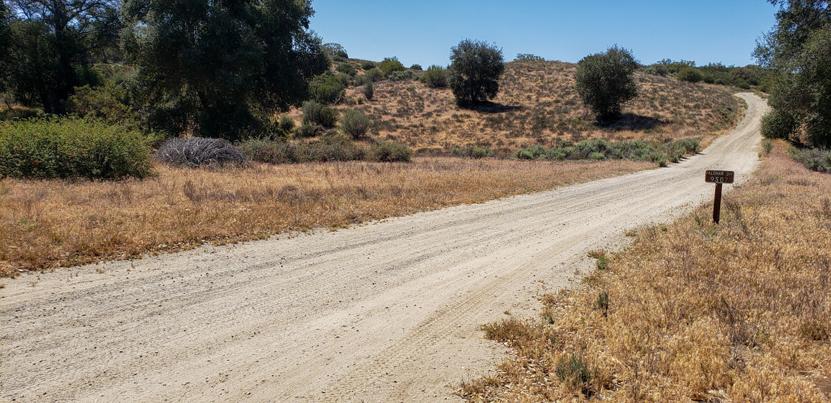 Palomar Trail, Warner Springs, California – May 21, 2022