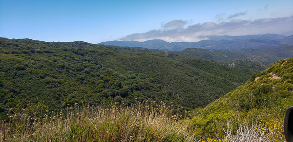 Palomar Trail run