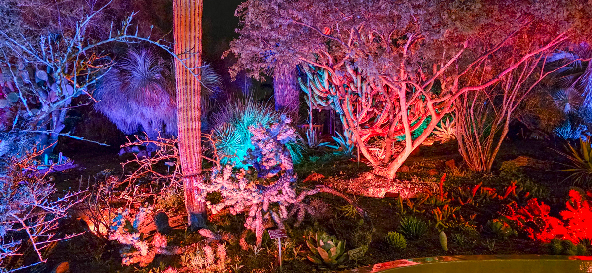San Diego Botanical Garden - Lightscape 2025, Encinitas, California - , 2025