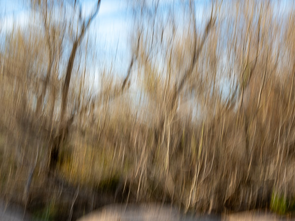 Salt River Recreation Area, Arizona
