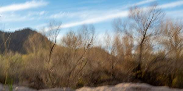 Salt River Recreation Area, Arizona