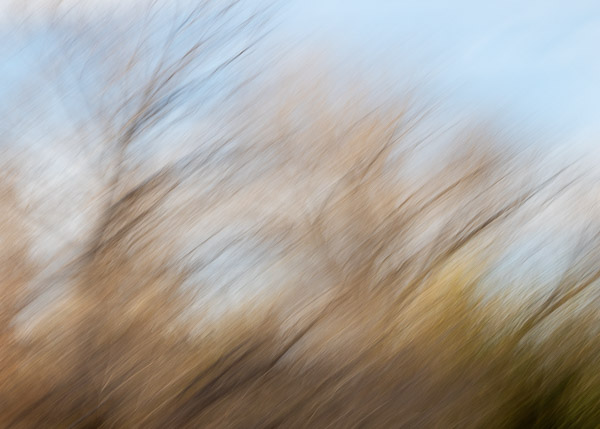 Salt River Recreation Area, Arizona