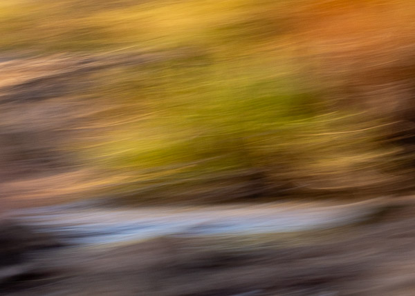 Salt River Recreation Area, Arizona