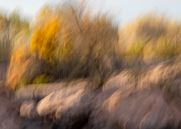 Salt River Recreation Area, Arizona