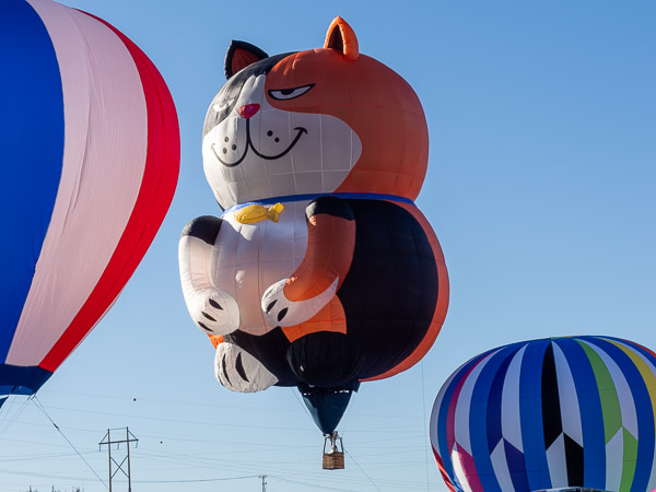 03_img-20251005-om1mk2-0473-cr